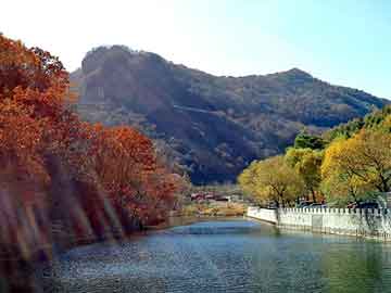 澳门正版免费全年资料，仙居顶风电